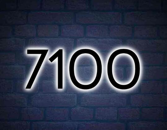 7100 House Numbers – helloneonsign